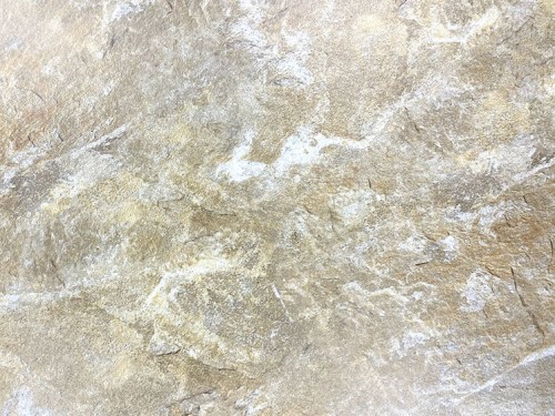 фото 3 Столик LION