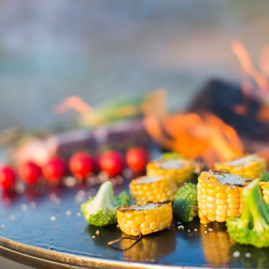фото 2 Гриль мангал AHOS OLYMPIC 1000
