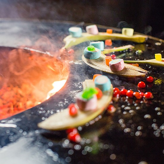 фото 6 Гриль мангал AHOS BIG SPHERE фото 6 Гриль мангал AHOS BIG SPHERE