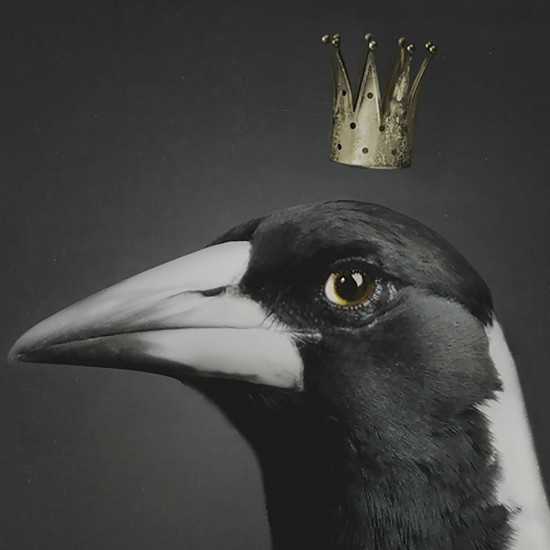 фото 2 Поднос LA PIE