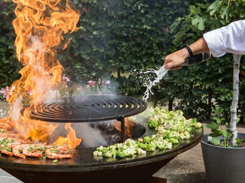 фото 4 Гриль-решітка для дровяного гриля OFYR GRILL ROUND 100