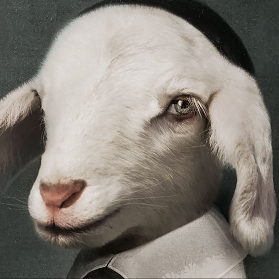 фото 6 Поднос L'AGNEAU