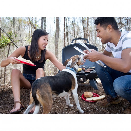 фото 13 Портативний газовий гриль NAPOLEON TRAVELQ 285