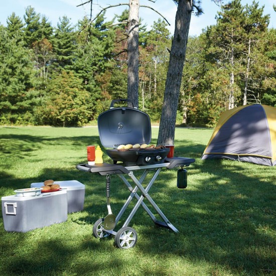 фото 5 Портативный газовый гриль NAPOLEON TRAVELQ 285X