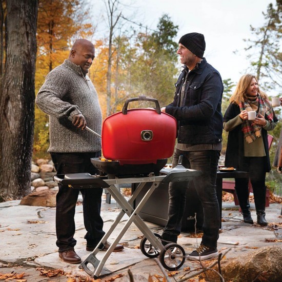 фото 7 Портативный газовый гриль NAPOLEON TRAVELQ 285X