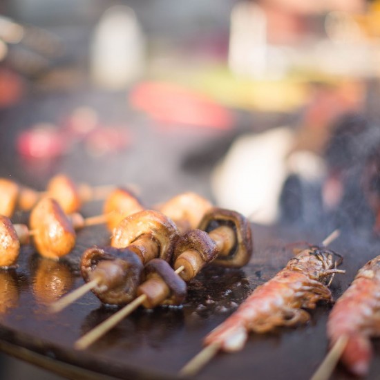 фото 2 Гриль мангал AHOS BIG  