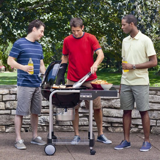 фото 7 Угольный гриль WEBER PERFORMER ORIGINAL GBS