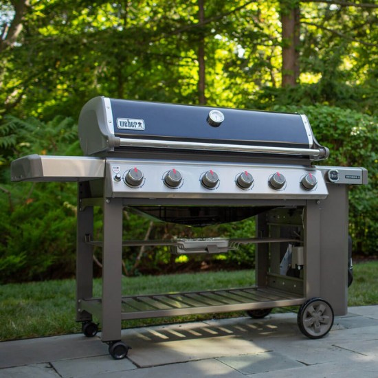 фото 6 Газовий гриль WEBER GENESIS II E-610 GBS