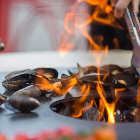 фото 16 Барбекю-мангал UNO+ з столом UNO TABLE