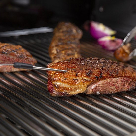 фото 4 Термометр Grill PRO