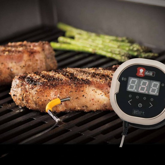 фото 6 Термометр іGrill mini для гриля Weber фото 6 Термометр іGrill mini для гриля Weber
