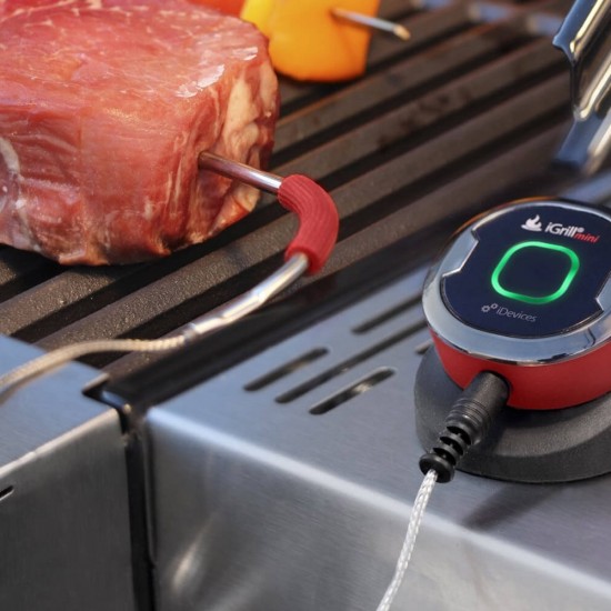 фото 5 Термометр іGrill mini для гриля Weber фото 5 Термометр іGrill mini для гриля Weber