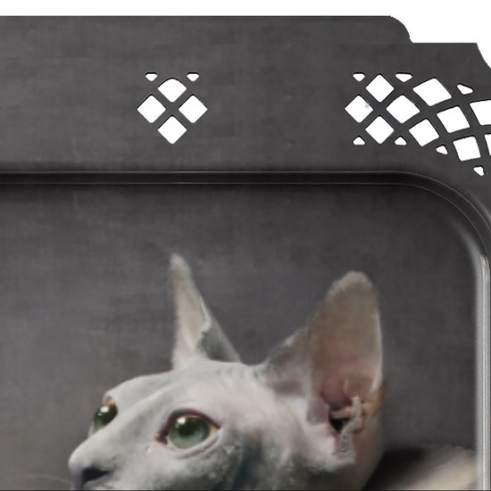 фото 3 Піднос LE CHAT