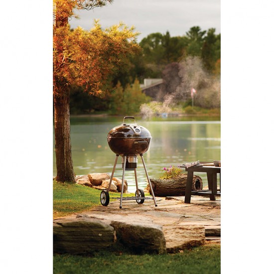 фото Угольный гриль NAPOLEON RODEO
