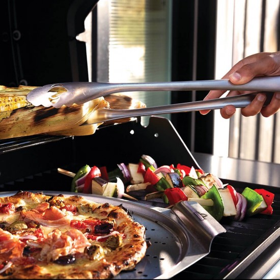 фото 8 Газовий гриль NAPOLEON FREESTYLE 425 PGT