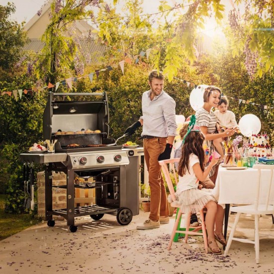 фото 5 Газовий гриль WEBER GENESIS II E-310 GBS