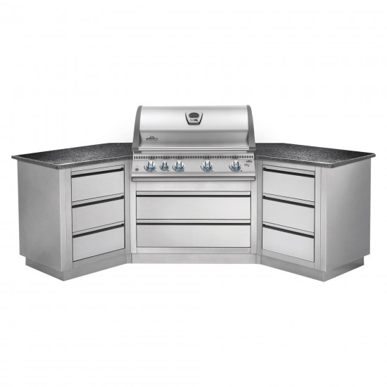 фото 2 Встраиваемый газовый гриль NAPOLEON BILEX 605