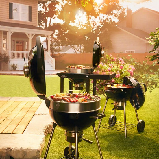 фото 8 Вугільний гриль NAPOLEON PROFESSIONAL