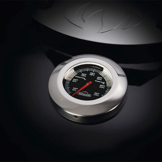 фото 8 Вугільний гриль NAPOLEON