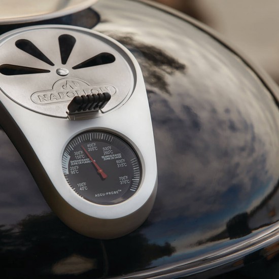 фото 17 Вугільний гриль NAPOLEON PREMIUM