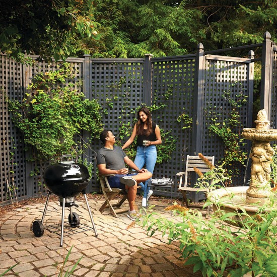 фото 7 Вугільний гриль NAPOLEON PREMIUM