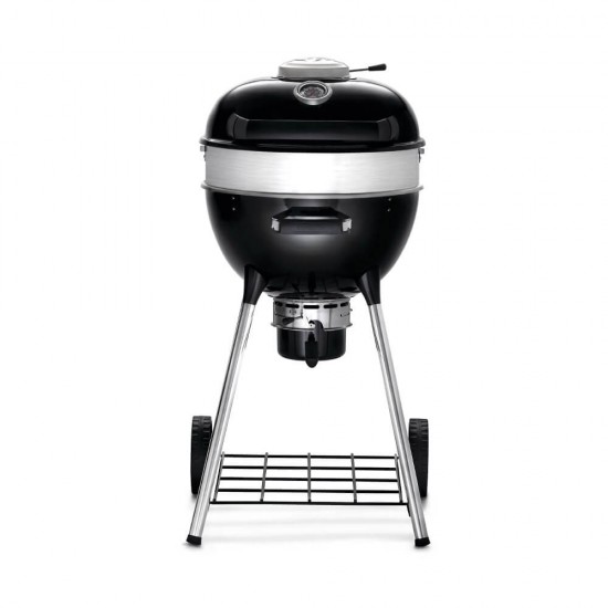 фото 1 Вугільний гриль NAPOLEON PROFESSIONAL