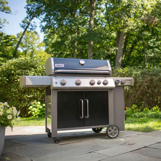 фото 5 Газовий гриль WEBER GENESIS II EP-435 GBS