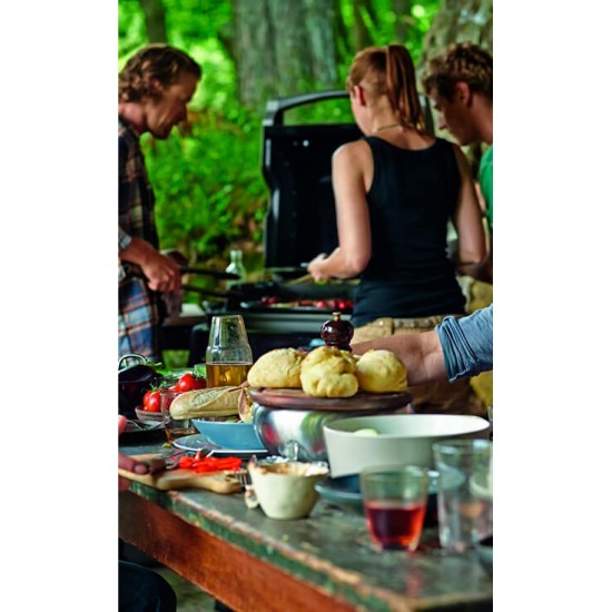 фото Газовый гриль WEBER SPIRIT E-310 CLASSIC