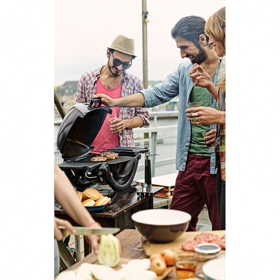 фото Портативний газовий гриль WEBER Q1200