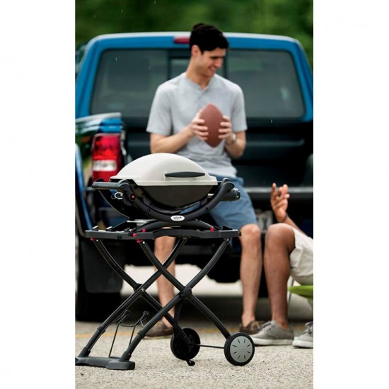 фото Портативний газовий гриль WEBER TITAN Q1000