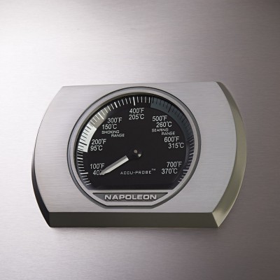 Газовый гриль NAPOLEON ROGUE SE 625 Газовый гриль NAPOLEON ROGUE SE 625