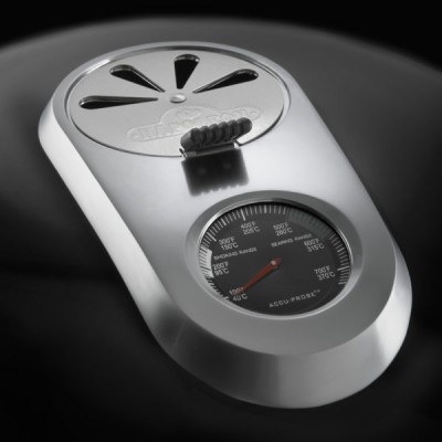 Угольный гриль-коптильня NAPOLEON APOLLO AS300K