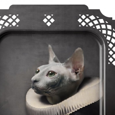 Піднос LE CHAT Піднос LE CHAT