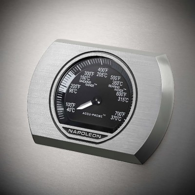 Газовый гриль NAPOLEON ROGUE XT 625 Газовый гриль NAPOLEON ROGUE XT 625