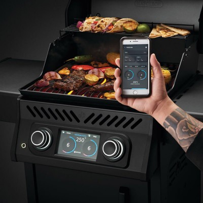 Електричний гриль NAPOLEON ROGUE EQ 365