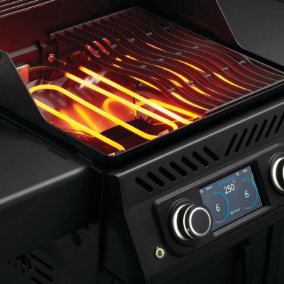 Електричний гриль NAPOLEON ROGUE EQ 365