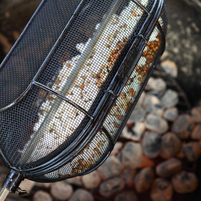 Веретено з сіткою для гриля WEBER Q200-2000