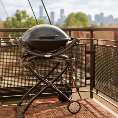 Електричний гриль WEBER Q2400