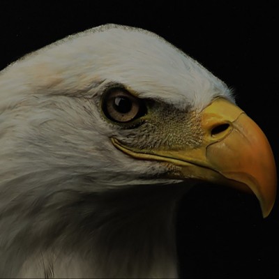 Піднос L'AIGLE Піднос L'AIGLE
