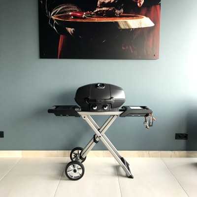 Портативний газовий гриль NAPOLEON TRAVELQ PRO285X Портативний газовий гриль NAPOLEON TRAVELQ PRO285X