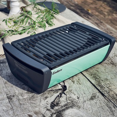 Угольный гриль ENDERS AURORA MINT