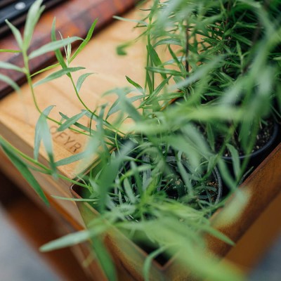 Дров'яний гриль-вогнище OFYR ISLAND CORTEN 100 PRO TEAK WOOD