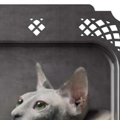 Піднос LE CHAT Піднос LE CHAT