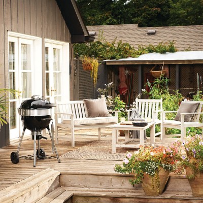 Вугільний гриль NAPOLEON PROFESSIONAL