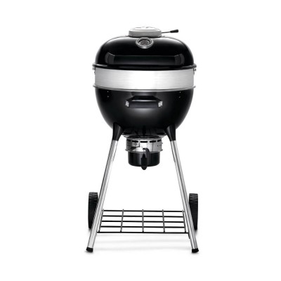 Вугільний гриль NAPOLEON PROFESSIONAL