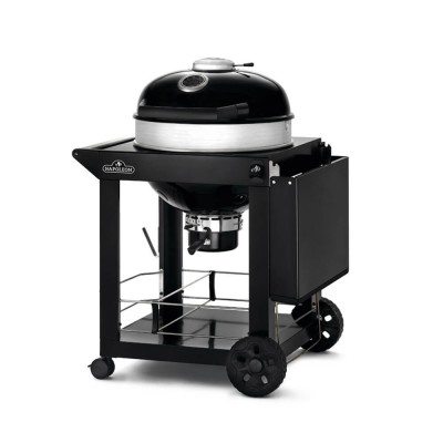 Угольный гриль со столиком NAPOLEON PROFESSIONAL