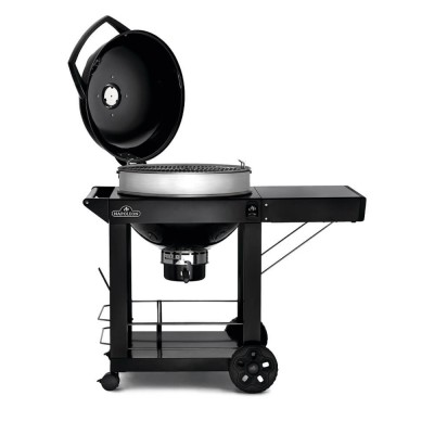 Угольный гриль со столиком NAPOLEON PROFESSIONAL