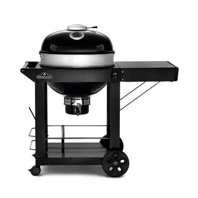 Угольный гриль со столиком NAPOLEON PROFESSIONAL