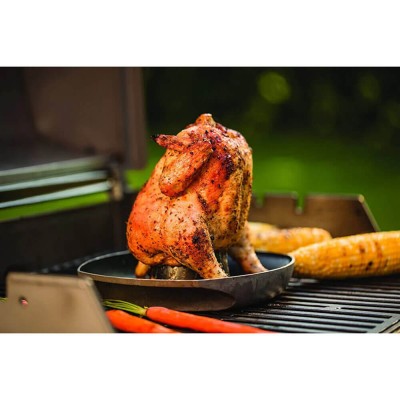 Ростер для курки WEBER