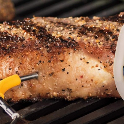 Термометр Bluetooth iGrill 2 для гриля WEBER